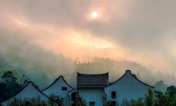 逗小猴开心系列167