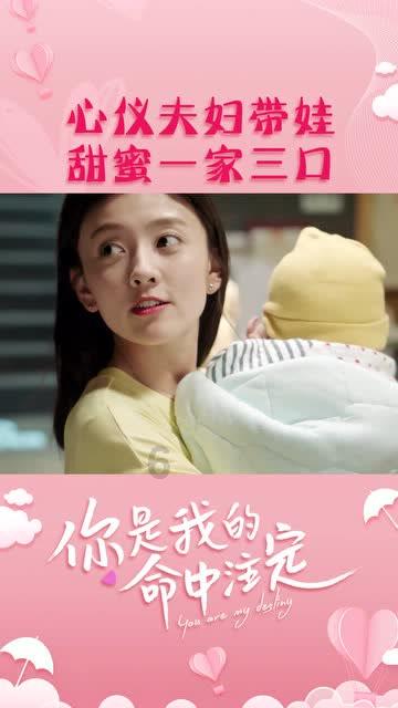 救援花栗鼠