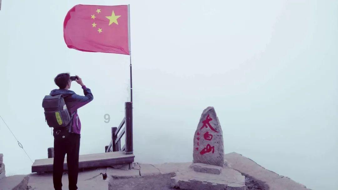 救援有趣的孔雀