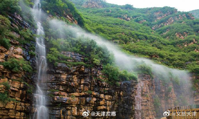 救援海盗章鱼