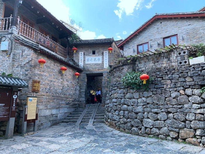 小僵尸射飞鸟